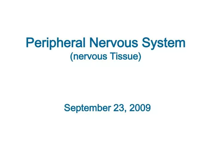 peripheral nervous system nervous tissue