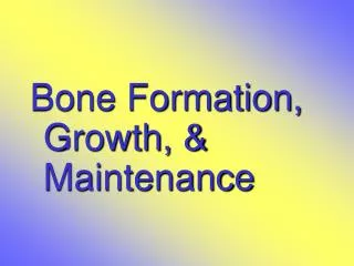 Bone Formation, Growth, &amp; Maintenance