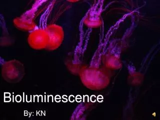 Bioluminescence