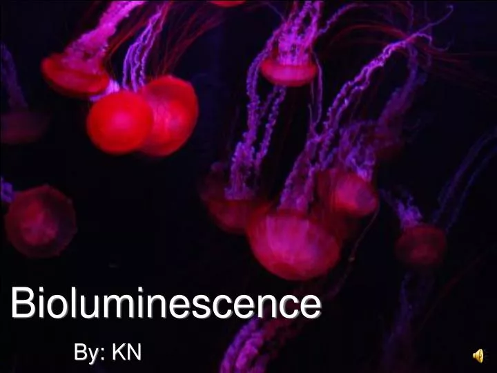 bioluminescence