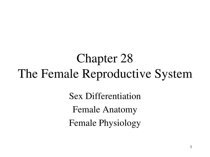 chapter 28 the female reproductive system