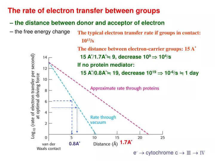 the rate of electron transfer between groups