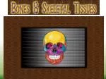 Understanding the Functions and Structures of the Skeletal System - slide 1