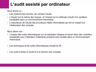 l audit assist par ordinateur