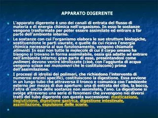 apparato digerente