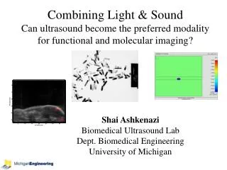 Shai Ashkenazi Biomedical Ultrasound Lab Dept. Biomedical Engineering University of Michigan