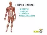 Il corpo umano - slide 1