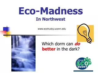 Eco-Madness In Northwest