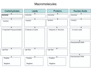 Macromolecules