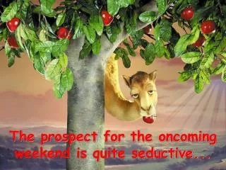 The prospect for the oncoming weekend is quite seductive...