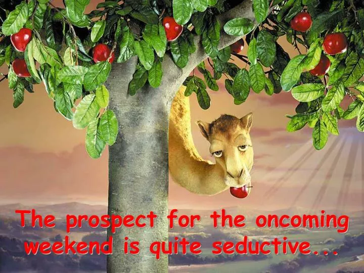 the prospect for the oncoming weekend is quite seductive
