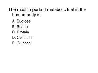 The most important metabolic fuel in the human body is: A. Sucrose 	B. Starch 	C. Protein
