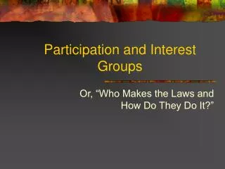 Participation and Interest Groups