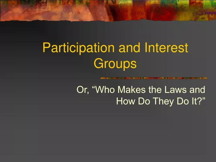 participation and interest groups