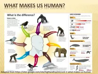 What Makes Us Human?