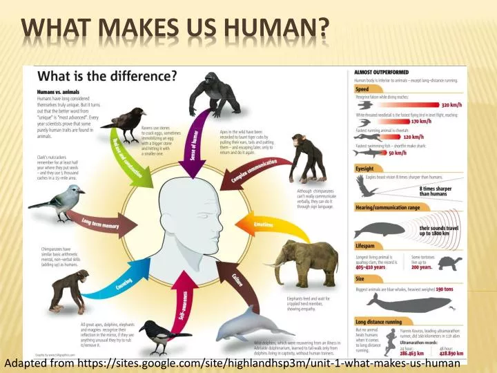 what makes us human