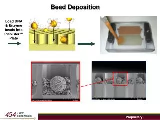 Bead Deposition