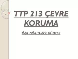 ttp 213 evre koruma r g r tu e g nter
