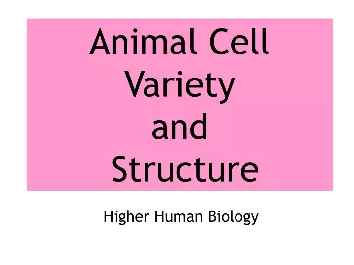 animal cell variety and structure