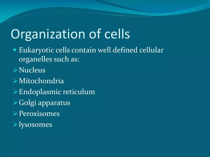 organization of cells
