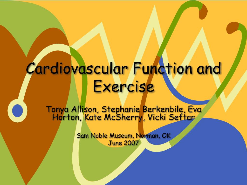 PPT - Cardiovascular Function and Exercise PowerPoint Presentation ...