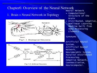 Chapter0. Overview of the Neural Network