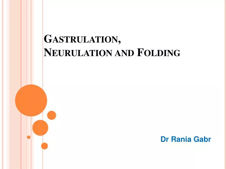 gastrulation neurulation and folding