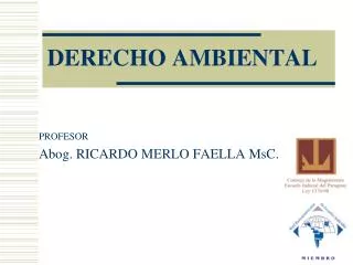 derecho ambiental profesor abog ricardo merlo faella msc