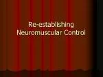 Re-establishing Neuromuscular Control