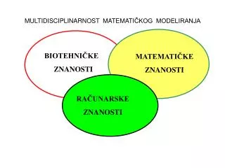 multidisciplinarnost matemati kog modeliranja