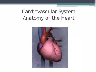 Cardiovascular System Anatomy of the Heart