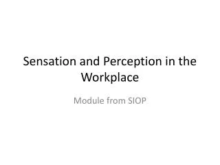 Sensation and Perception in the Workplace