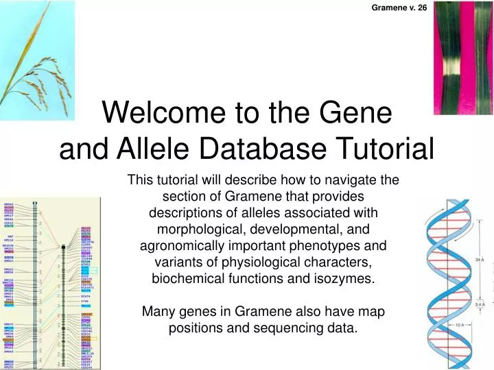welcome to the gene and allele database tutorial