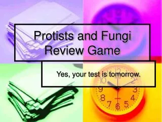 Protists and Fungi Review Game