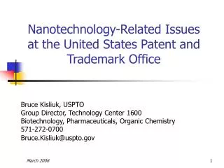 Nanotechnology-Related Issues at the United States Patent and Trademark Office