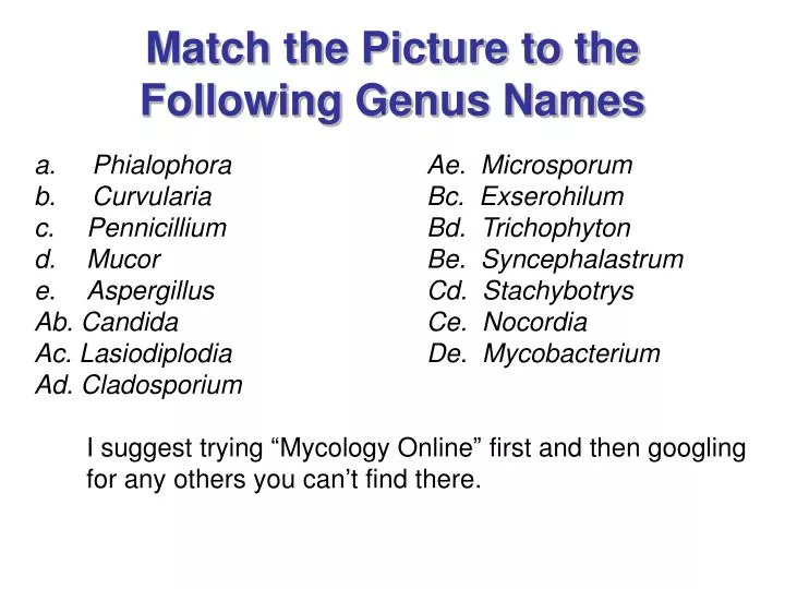 match the picture to the following genus names