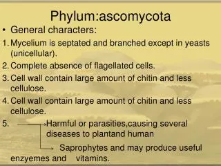 Phylum:ascomycota