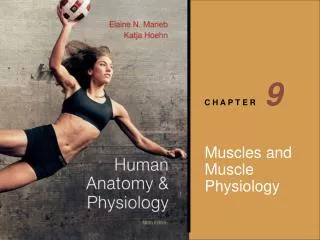 Muscles and Muscle Physiology