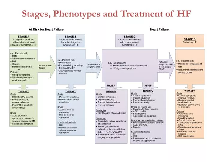 stages phenotypes and treatment of hf