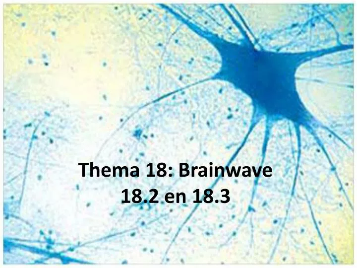 thema 18 brainwave 18 2 en 18 3