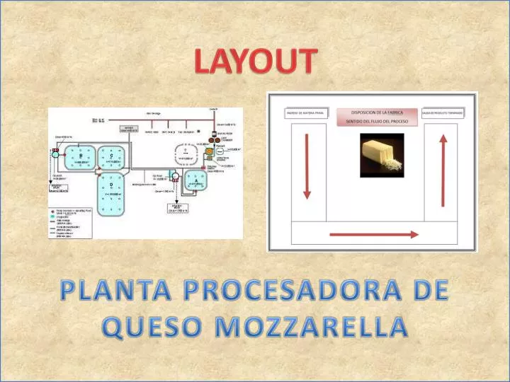 layout planta procesadora de queso mozzarella
