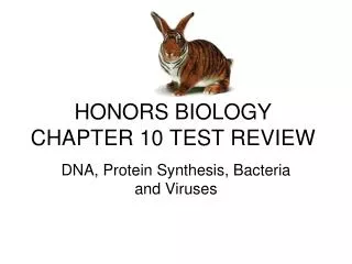 HONORS BIOLOGY CHAPTER 10 TEST REVIEW