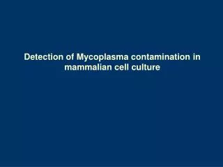 Detection of Mycoplasma contamination in mammalian cell culture