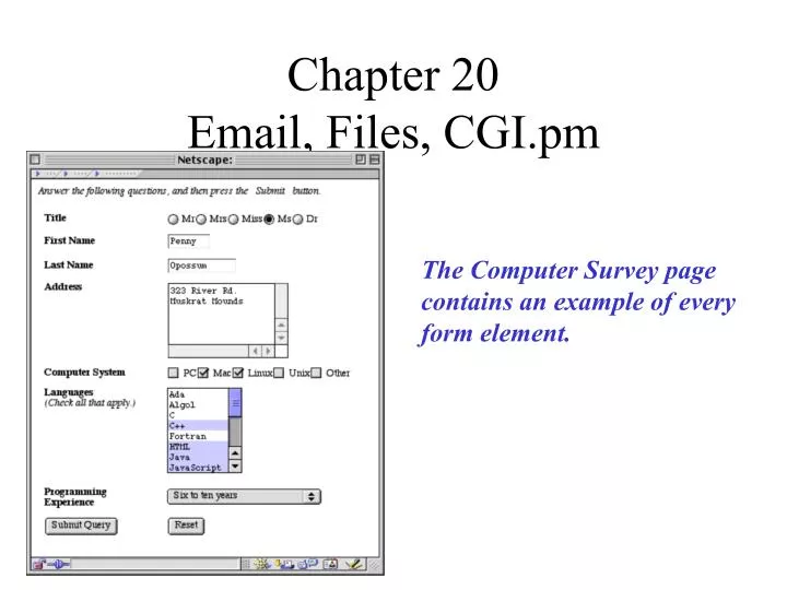 chapter 20 email files cgi pm