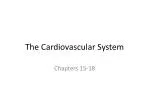 The Cardiovascular System - slide 1