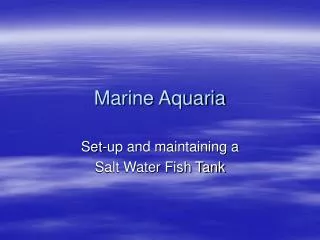 Marine Aquaria