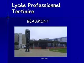 lyc e professionnel tertiaire