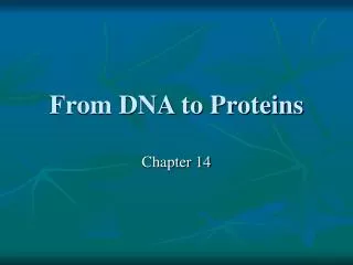 From DNA to Proteins