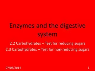 Enzymes and the digestive system