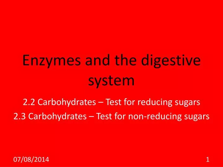 enzymes and the digestive system